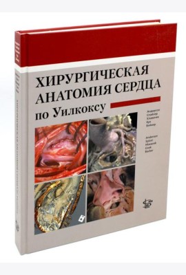 Хирургическая анатомия сердца по Уилкоксу