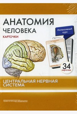 Анатомия человека: карточки. (34 шт). Центральная нервная система