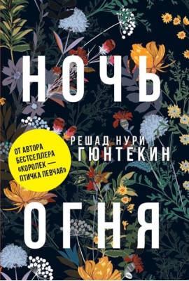 Ночь огня: роман. (обл.)