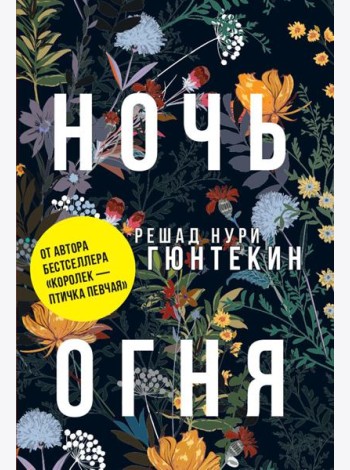 Ночь огня: роман. (обл.)