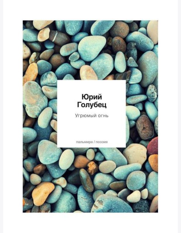 Угрюмый огнь: первая книга песен