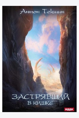 Застрявший. Кн. 3. Застрявший в Кишке