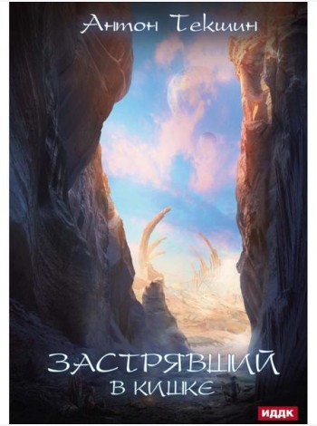 Застрявший. Кн. 3. Застрявший в Кишке
