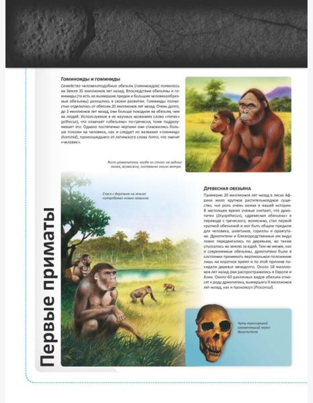 Человек в доисторические времена. Детская энциклопедия