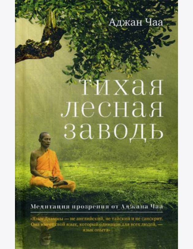 Тихая лесная заводь. Медитация прозрения от Аджана Чаа
