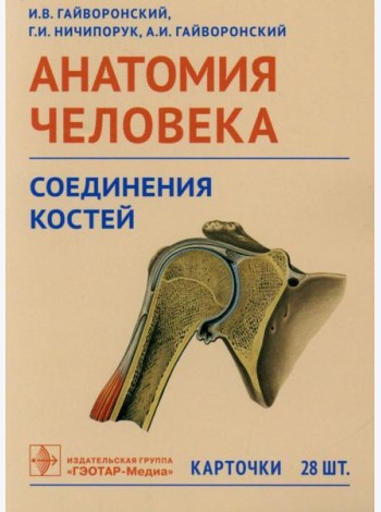 Анатомия человека. Соединения костей. Карточки: наглядное учебное пособие