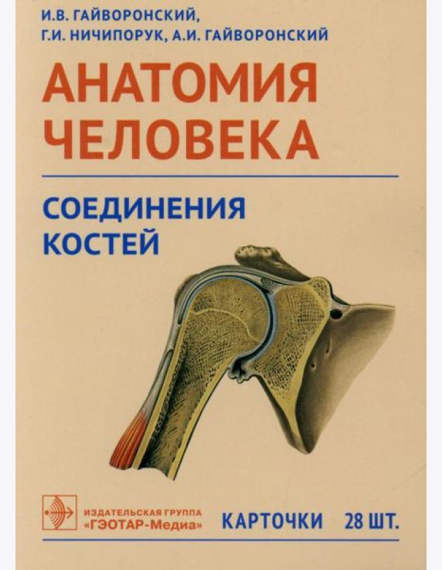 Анатомия человека. Соединения костей. Карточки: наглядное учебное пособие