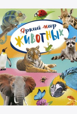 Яркий мир животных