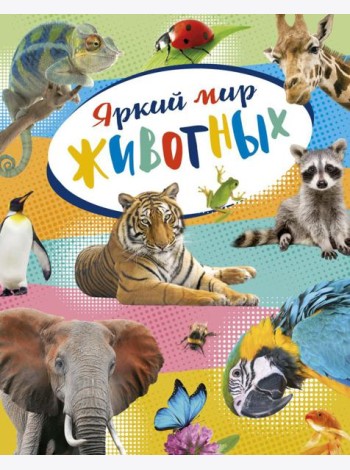 Яркий мир животных