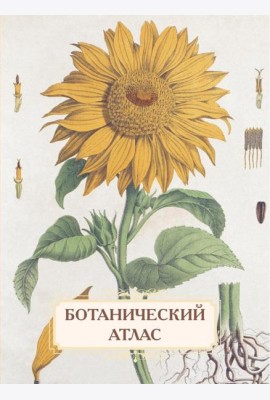 Ботанический атлас. Н.П. Животовский