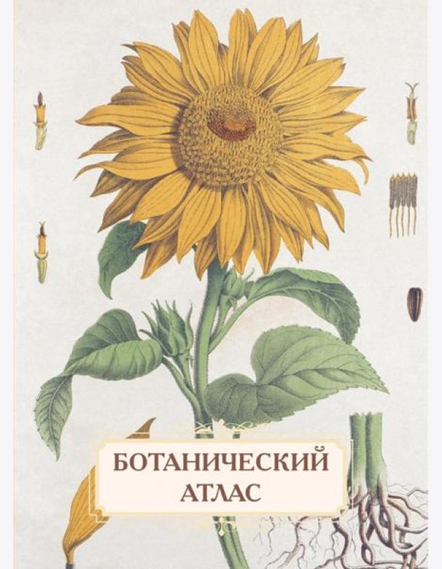 Ботанический атлас. Н.П. Животовский