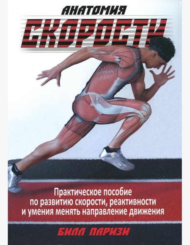 Анатомия скорости
