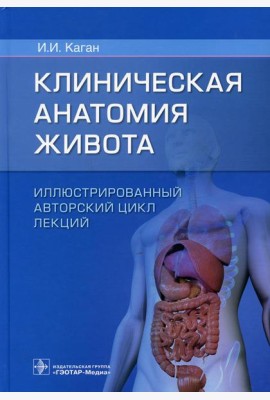 Клиническая анатомия живота. Иллюстрированный авторский цикл лекций