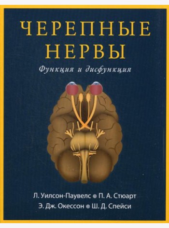 Черепные нервы. Функция и дисфункция