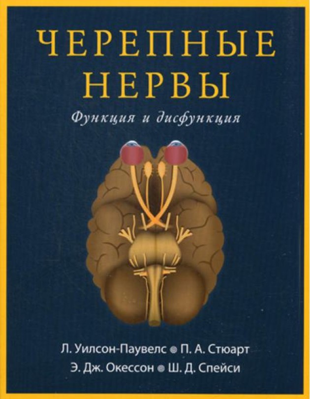 Черепные нервы. Функция и дисфункция