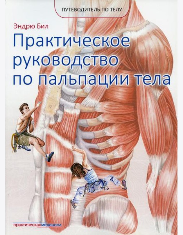 Практическое руководство по пальпации тела