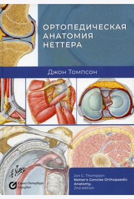Ортопедическая анатомия Неттера