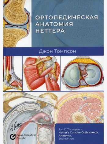 Ортопедическая анатомия Неттера