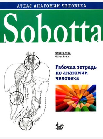 Sobotta. Рабочая тетрадь по анатомии человека