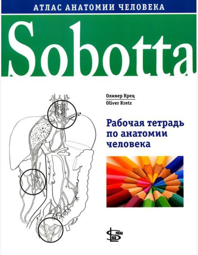 Sobotta. Рабочая тетрадь по анатомии человека