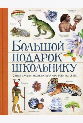 Большой подарок школьнику