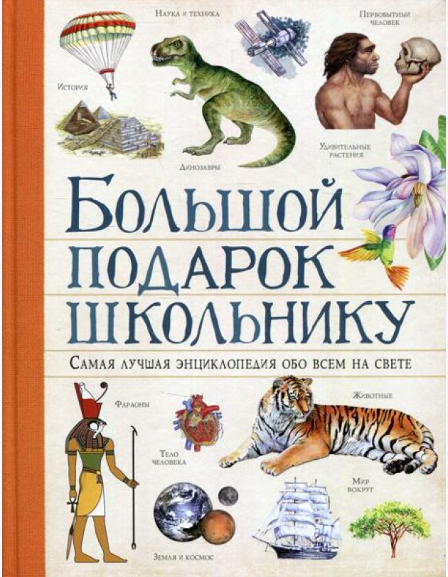 Большой подарок школьнику