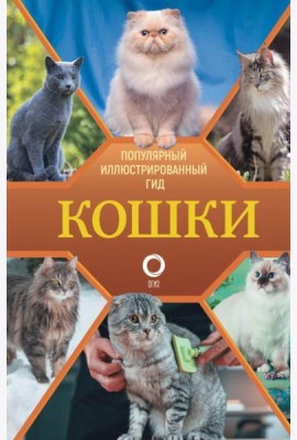 Кошки