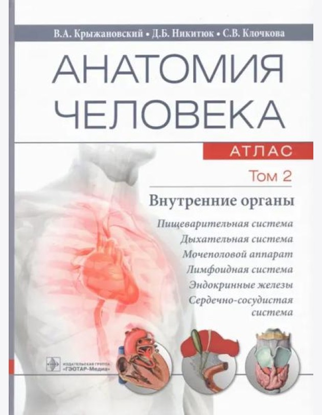 Анатомия человека. Атлас. В 3 т. Т. 2: Внутренние органы: Учебное пособие