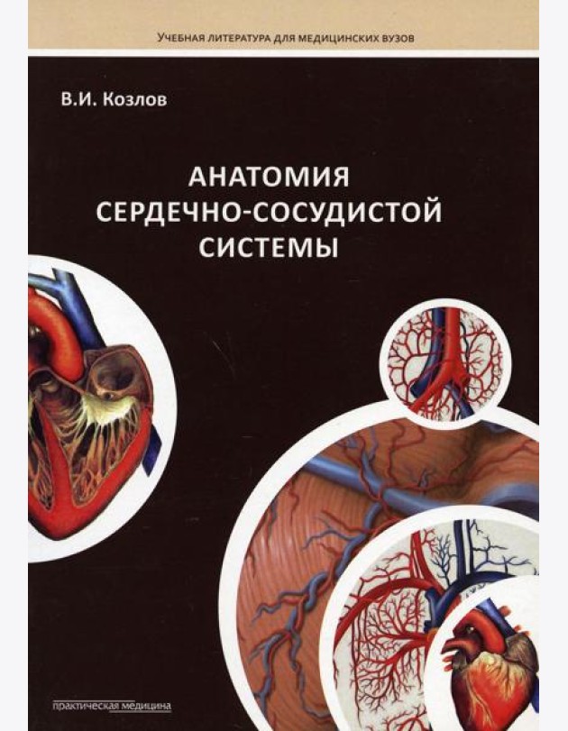 Анатомия сердечно-сосудистой системы: Учебное пособие для студентов медицинских вузов