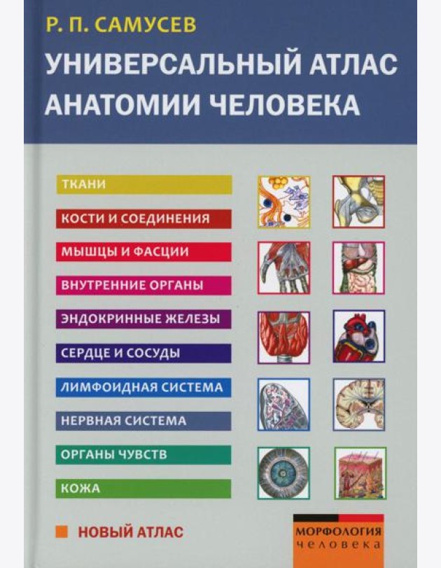 Универсальный атлас анатомии человека: Учебное пособие для студентов медицинских учебных заведений