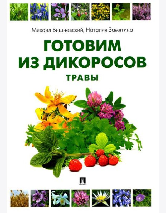 Готовим из дикоросов. Травы
