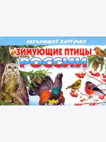 Зимующие птицы России