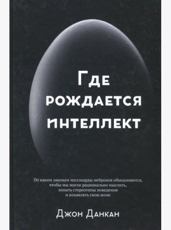 Где рождается интеллект