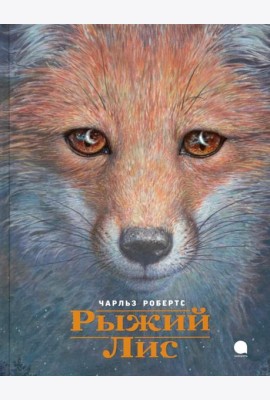 Рыжий лис