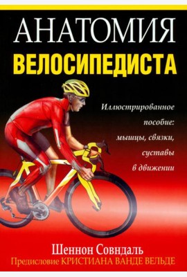 Анатомия велосипедиста