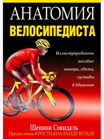 Анатомия велосипедиста