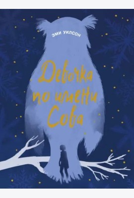 Книга для подростков.Маг.миры Девочка по имени Сов