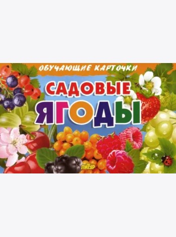 Комплект карточек. Садовые ягоды 