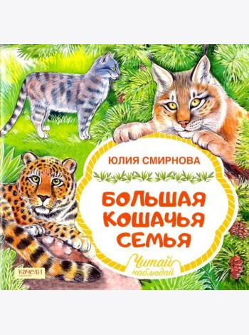 Большая кошачья семья