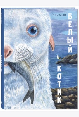 Белый котик
