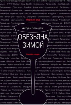 Обезьяна зимой