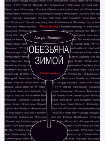 Обезьяна зимой