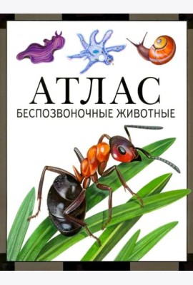 Атлас. Беспозвоночные животные
