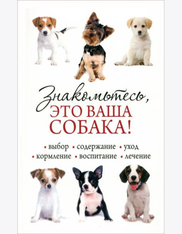 Знакомьтесь, это ваша собака!
