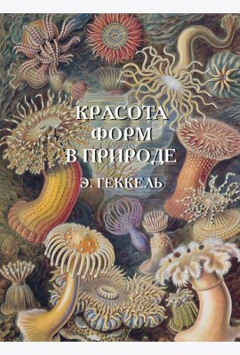 Красота форм в природе. Э. Геккель