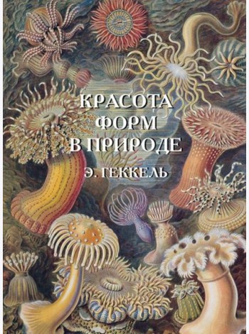 Красота форм в природе. Э. Геккель