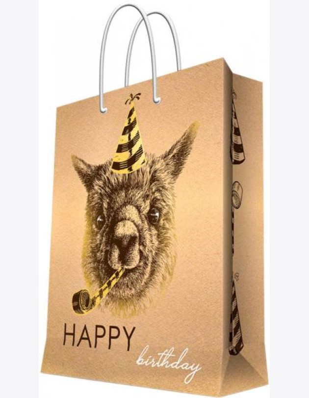 Пакет бумажный 17.8х22.9х9.8 Happy Birthday 83568