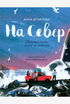 На Север. Путешествие вслед за чайкой
