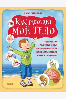 Как работает мое тело