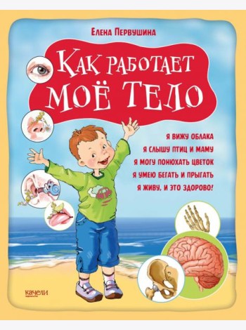 Как работает мое тело